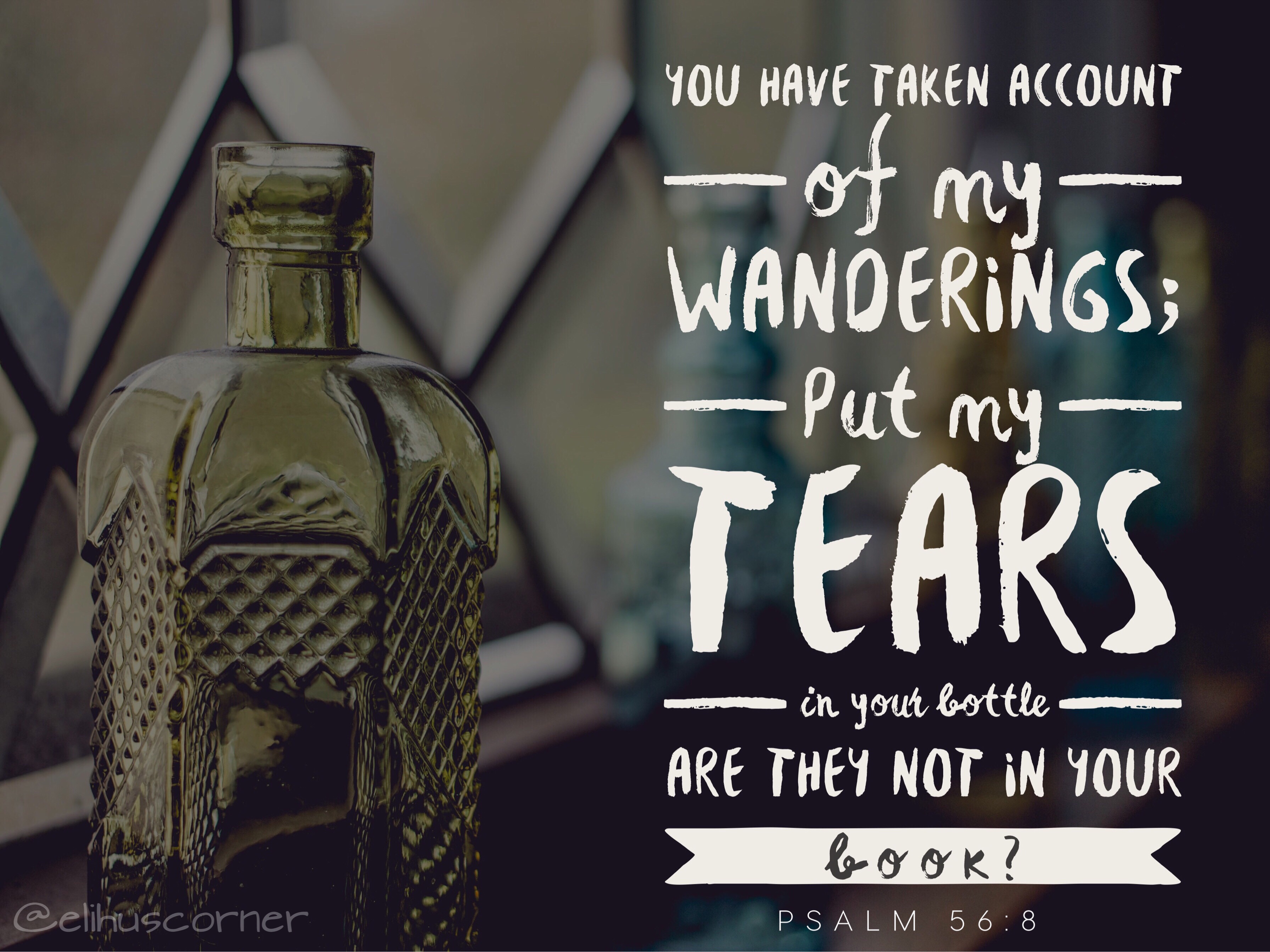 You’re Not As Alone as You Think Elihu's Corner